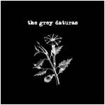 Grey Daturas : Grey Daturas